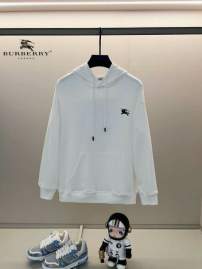 Picture of Burberry Hoodies _SKUBurberryXS-L24cr281896